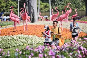 BIB: 
                            <button type="button" onclick="openModal(27794333)" class="btn btn-primary btn-sm float-right btn-popup" data-toggle="modal" data-target=".modal-high-quality">
                        <i class="fas fa-shopping-cart"></i> Add to Cart
                    </button>
                                            <button type="button" onclick="isThisMe(27794333, true)" class="btn btn-success btn-sm float-right btn-popup btn-isme hidden" data-toggle="tooltip" data-placement="bottom" title="นี่คือรูปของคุณใช่ไหม คลิกที่นี่เพื่อเอาเข้าอัลบั้ม">
                        <i class="fas fa-plus"></i> Add to album
                    </button>
                    <button type="button" onclick="isThisMe(27794333, false)" class="btn btn-warning btn-sm float-right btn-popup btn-isnotme hidden">
                        <i class="fas fa-ban"></i> Remove from album
                    </button>